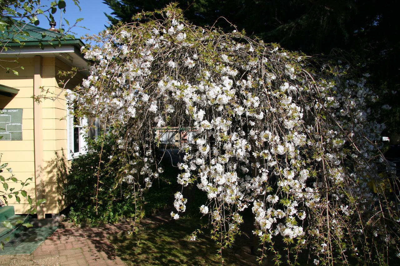 Carawatha Gardens Villa Bright Exterior foto