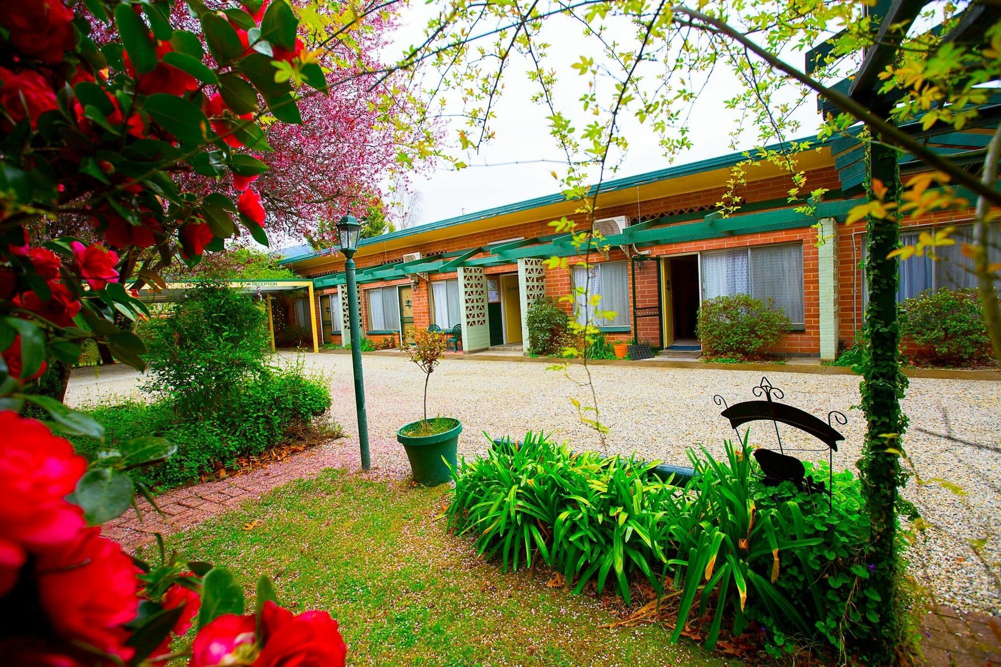 Carawatha Gardens Villa Bright Exterior foto
