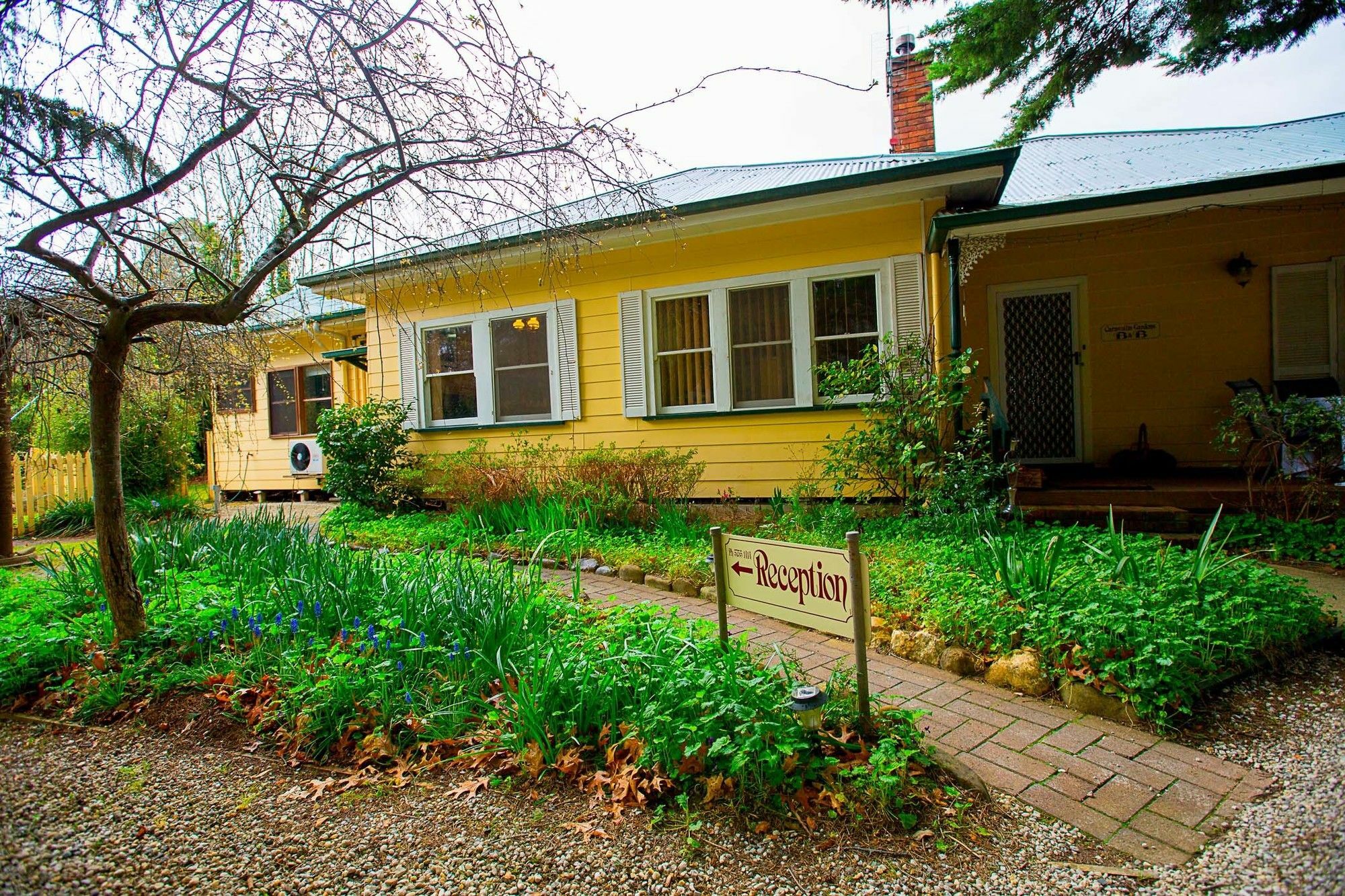 Carawatha Gardens Villa Bright Exterior foto