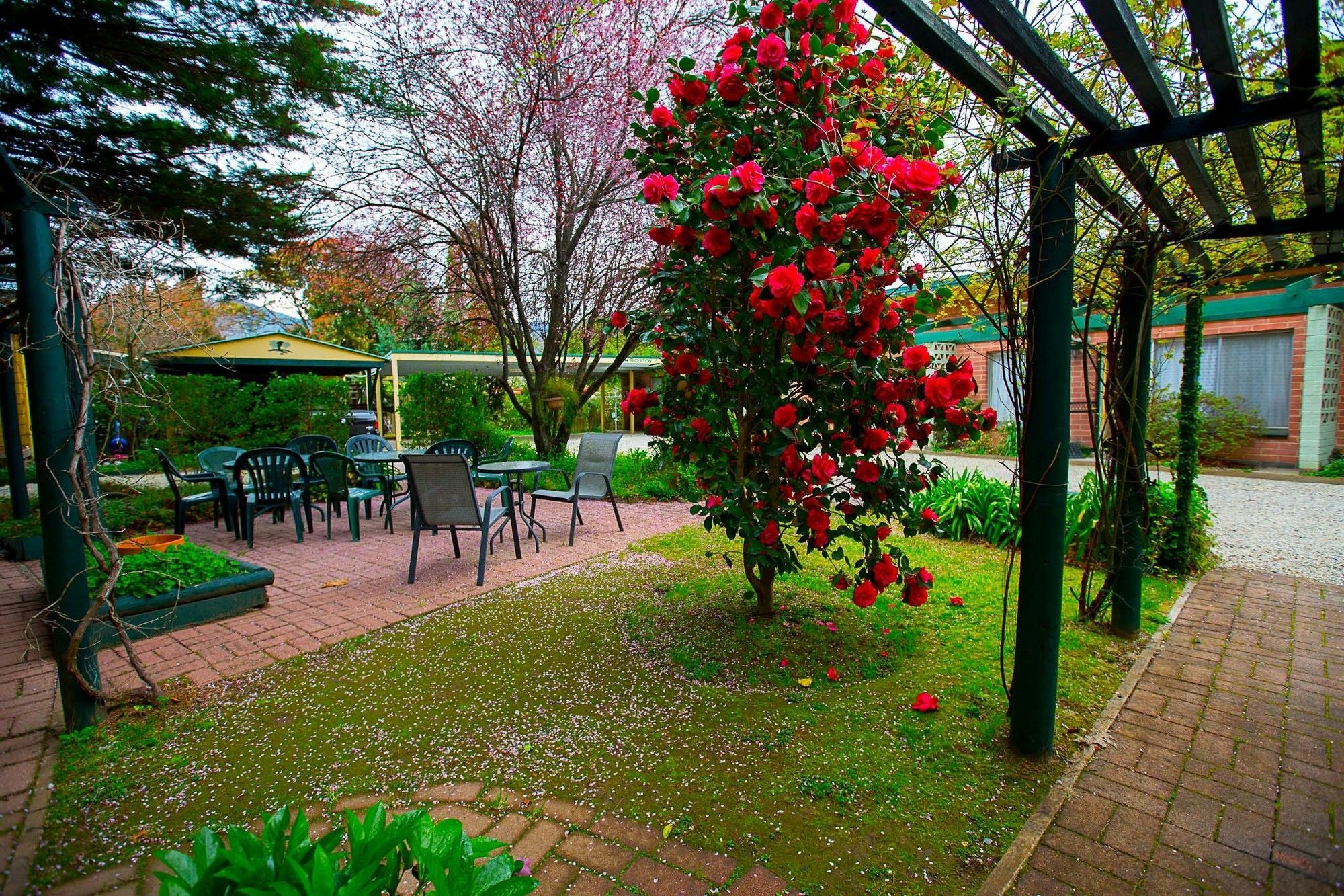 Carawatha Gardens Villa Bright Exterior foto